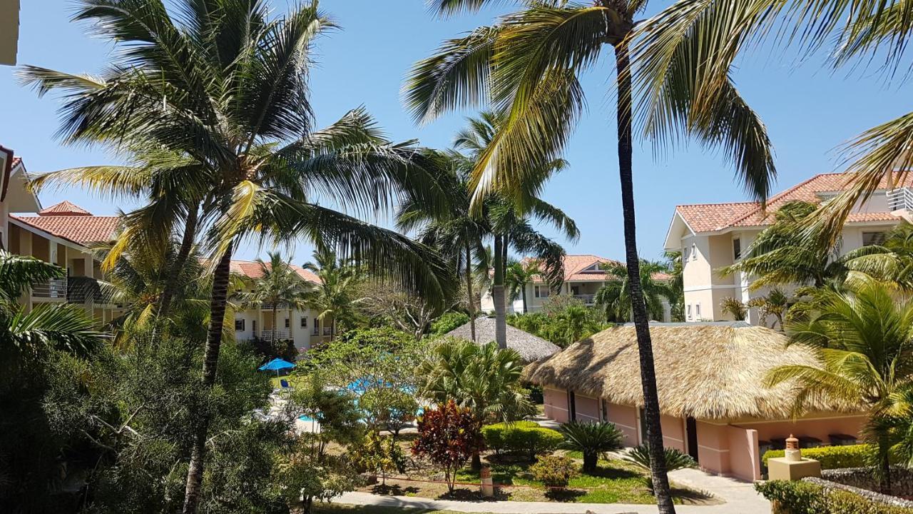 Cozy Garden Oasis Steps To The Beach Cabarete Extérieur photo
